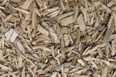 biomass boilers Kirksanton
